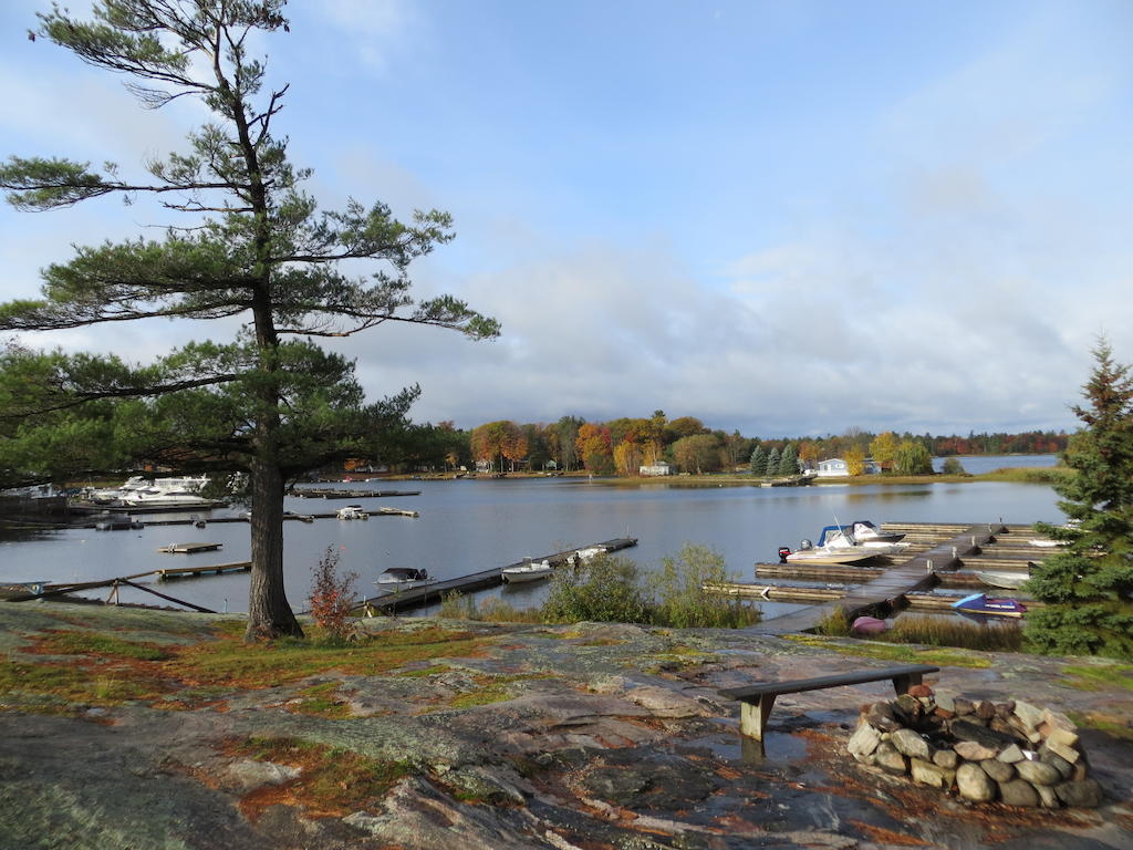Halls Cottages Honey Harbor Kültér fotó
